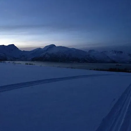 Midnight Sun Aurora