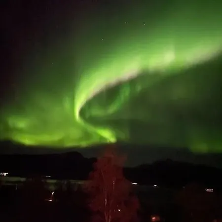 Midnight Sun Aurora