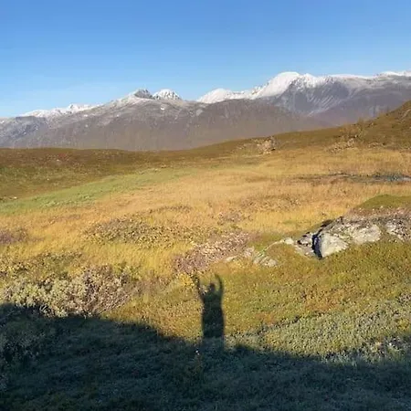 Nyaraló Midnight Sun Aurora